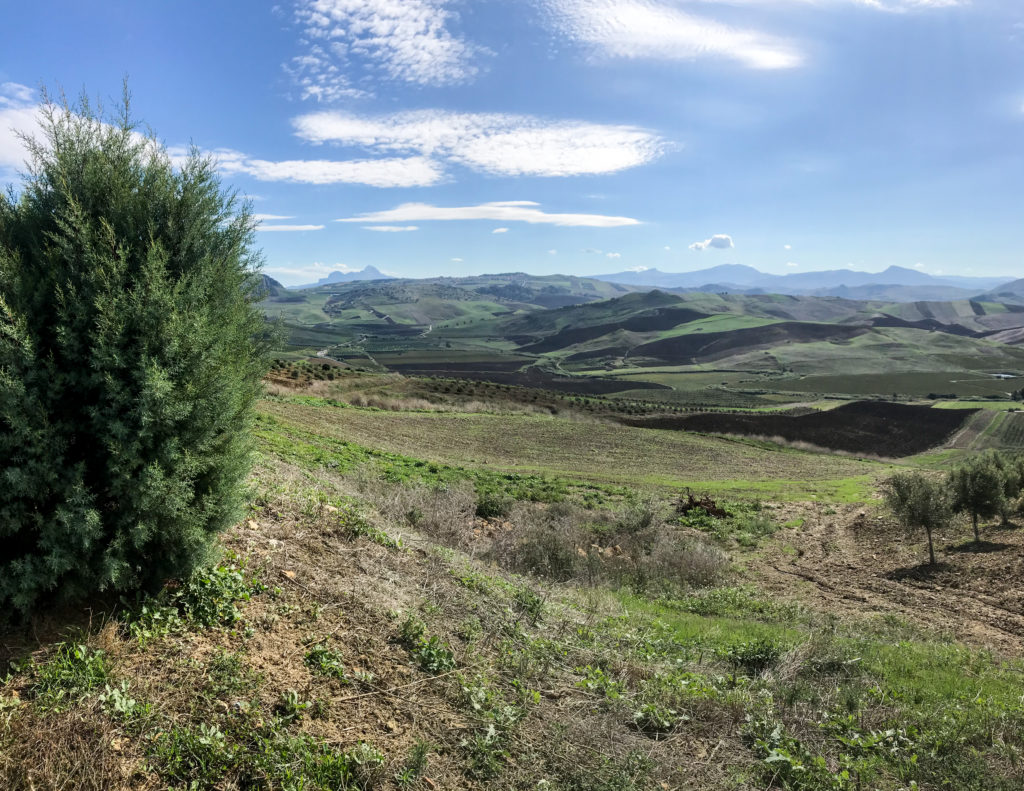 Panorama della valle del Belice