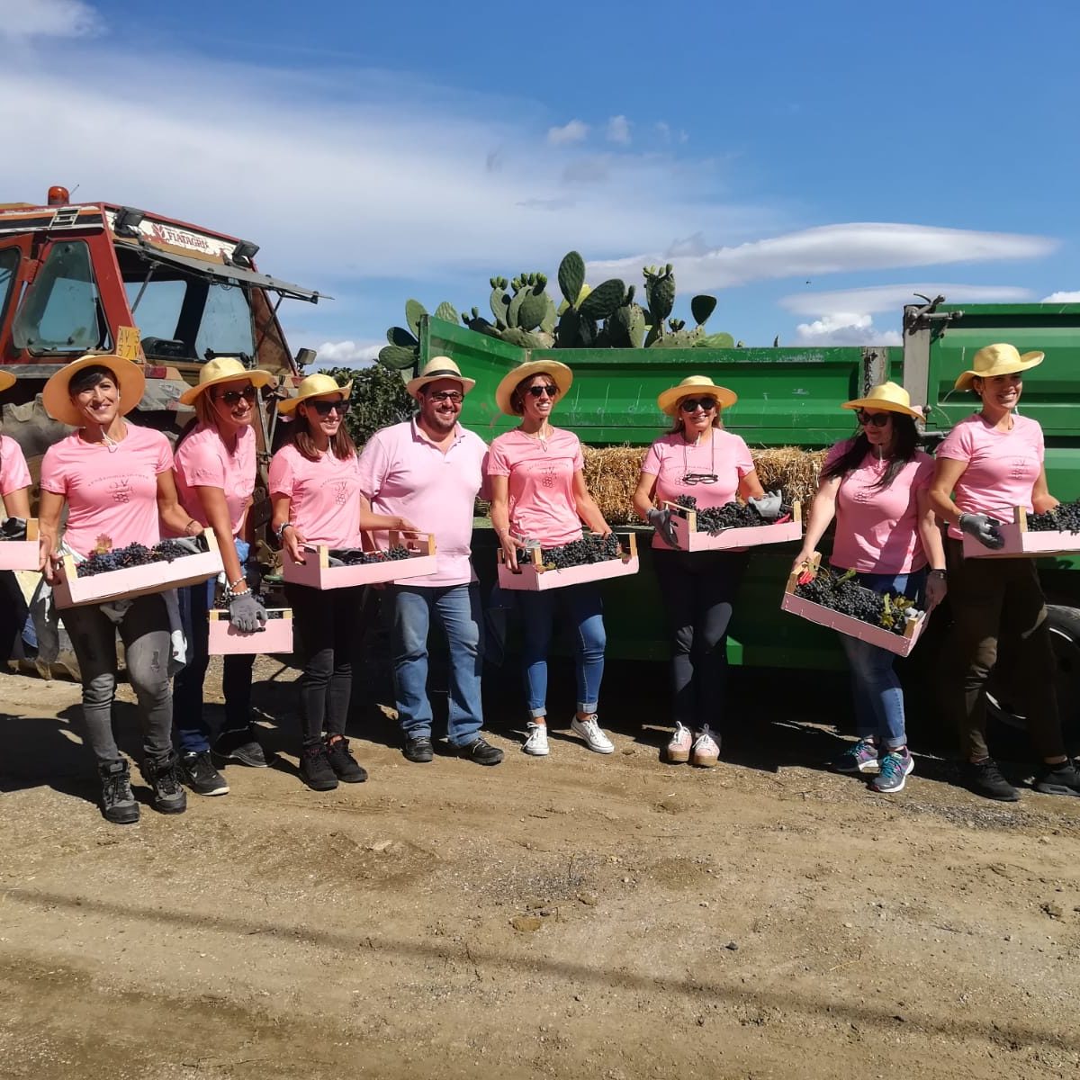 Foto di gruppo con tutto il team della vendemmia in rosa con le cassette piene d'uva.