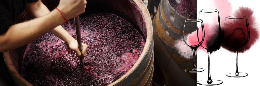 cosa è il vino artigianale